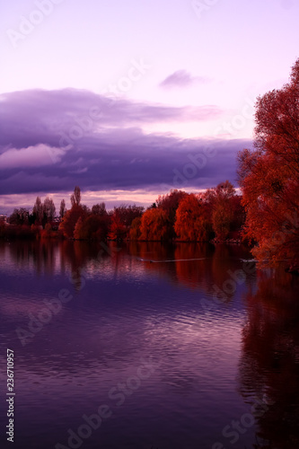 Fototapeta Naklejka Na Ścianę i Meble -  Beautiful landscape with red autumn trees over the lake in perspective and a dramatic sky at sunset