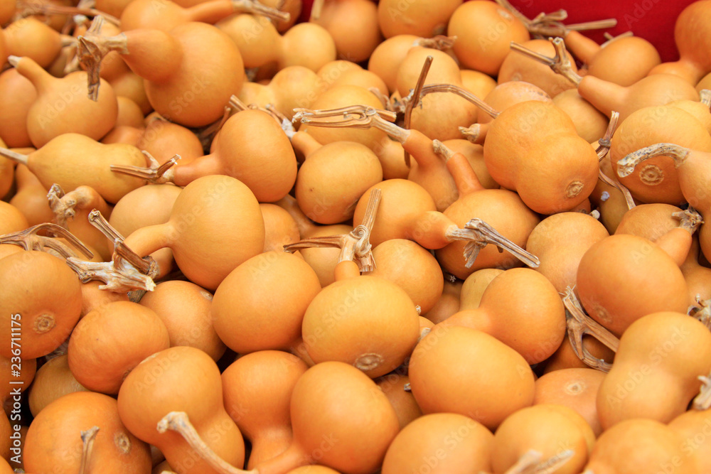 Piles of small gourds