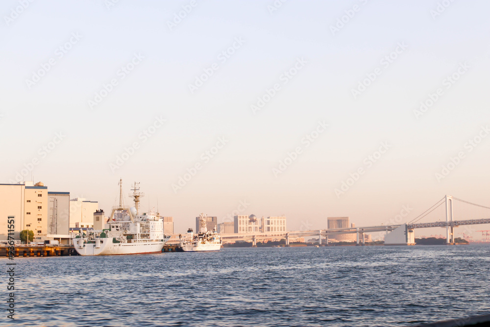 View of Rainbow bridge and boat at sumida river viewpoint in tokyo,Japan