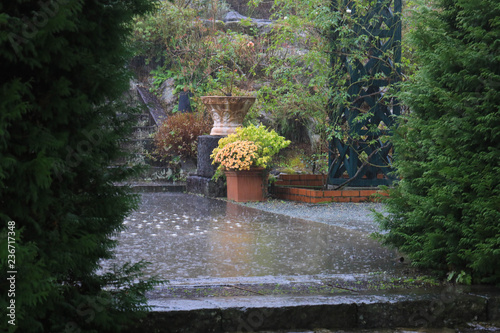 雨の強羅公園　