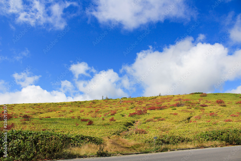 Fototapeta premium 志賀草津道路
