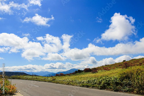 志賀草津道路