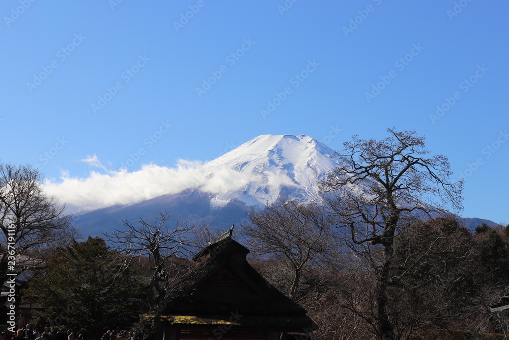 世界遺産・富士山の構成資産、忍野八海の中池（人工池）