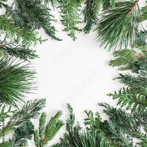 Christmas composition. Fir tree branches on pastel gray background. Christmas, winter, new year concept. Flat lay, top view, copy space, square