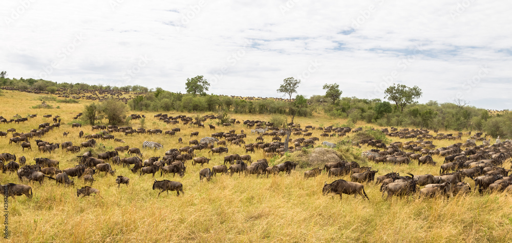 Huge herds of ungulates. Savannah of Masai Mara. Kenya, Africa (Rev.2) Huge herds of ungulates. Savannah of Masai Mara. Kenya, Africa (Rev.2)