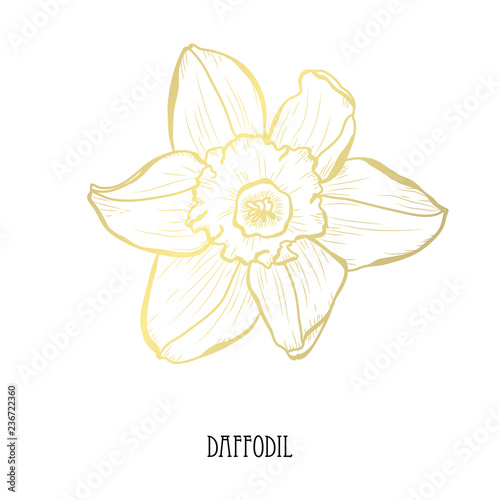 Fototapeta Naklejka Na Ścianę i Meble -  golden floral decoration