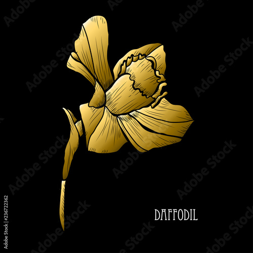 Fototapeta Naklejka Na Ścianę i Meble -  golden floral decoration