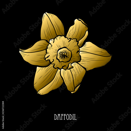 Fototapeta Naklejka Na Ścianę i Meble -  golden floral decoration