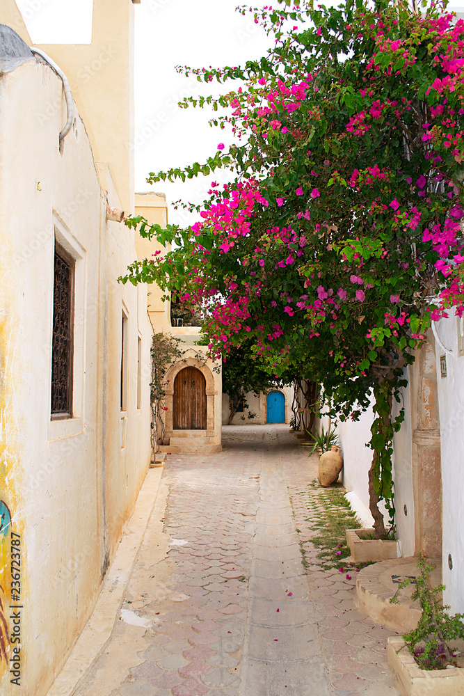 A cozy courtyard with a large flowering bush. Old wooden doors. Street with stone houses. Tunisia