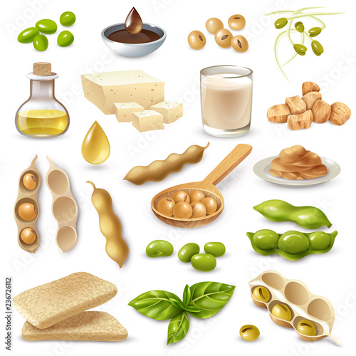 Soy Food Products Set