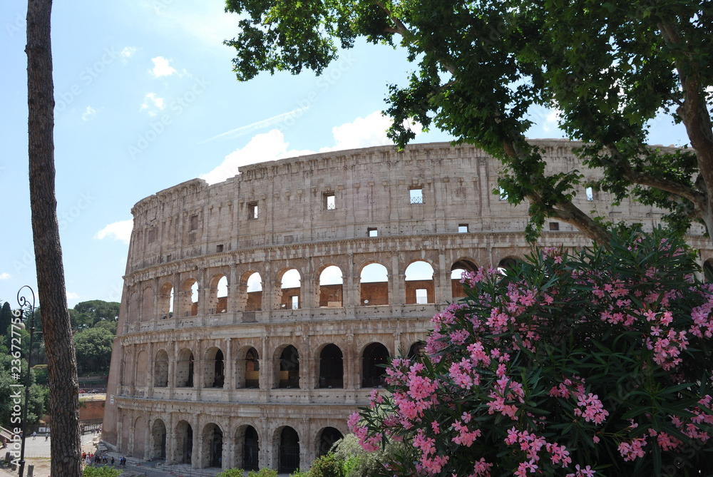 Obraz premium View of Colosseum - Rome, Italy.