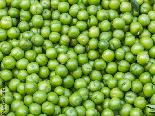 Erik, or greengages, often called sour green plums, eaten in Turkey. photo