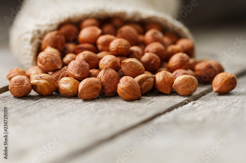 Chiselled hazelnuts in a bag of burlap on a gray wooden table. Organic Fresh Harvested