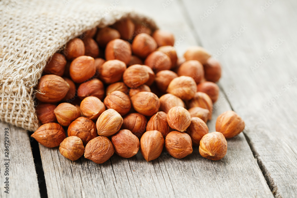 Chiselled hazelnuts in a bag of burlap on a gray wooden table. Organic Fresh Harvested