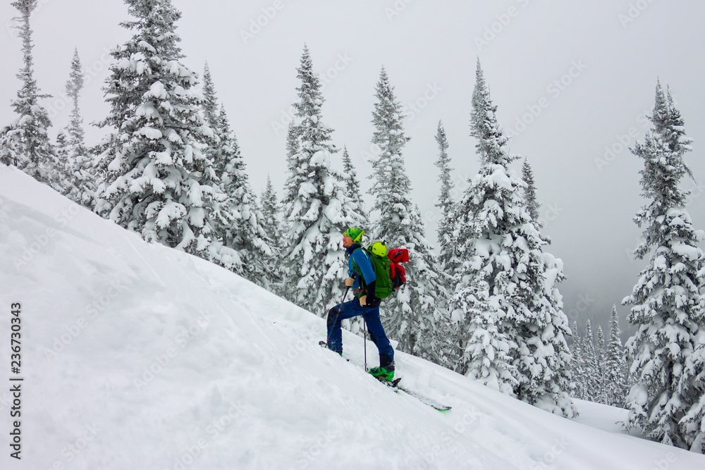 Male skier freeride skitur uphill in snow in winter forest