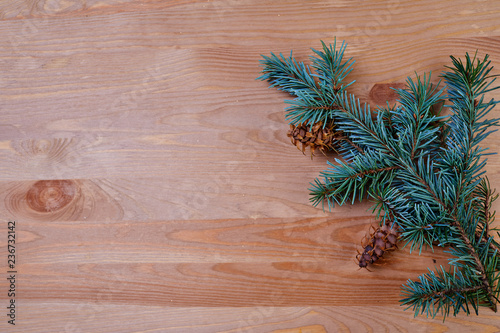 wooden background with fir tree