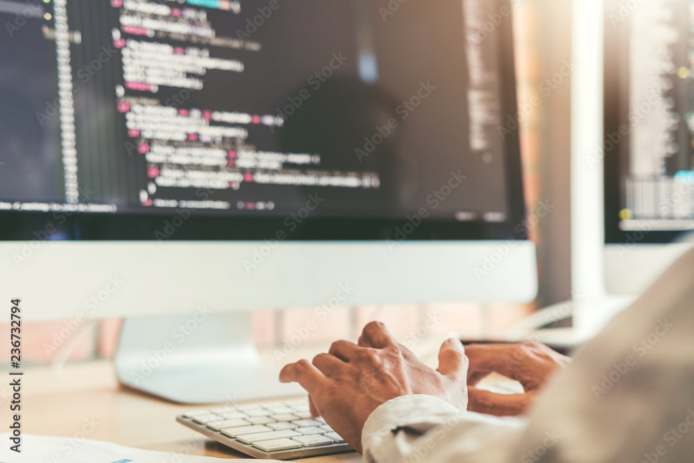Developing programmer Development Website design and coding ...