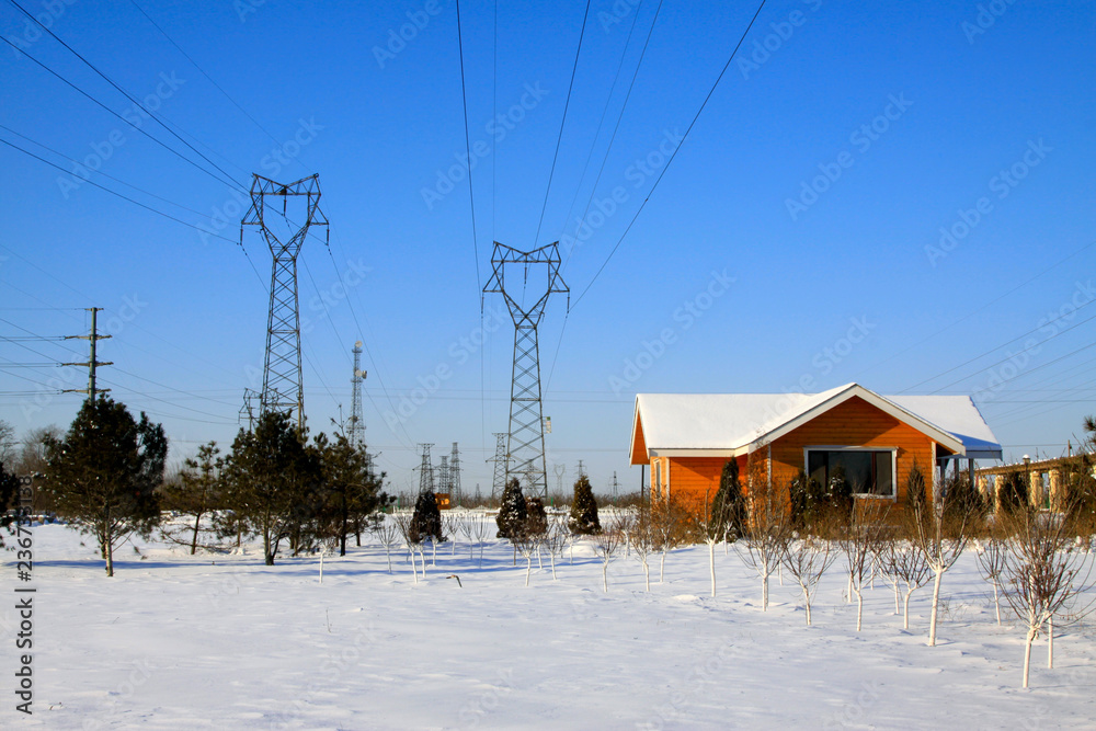 Cabin and pylon in the snow