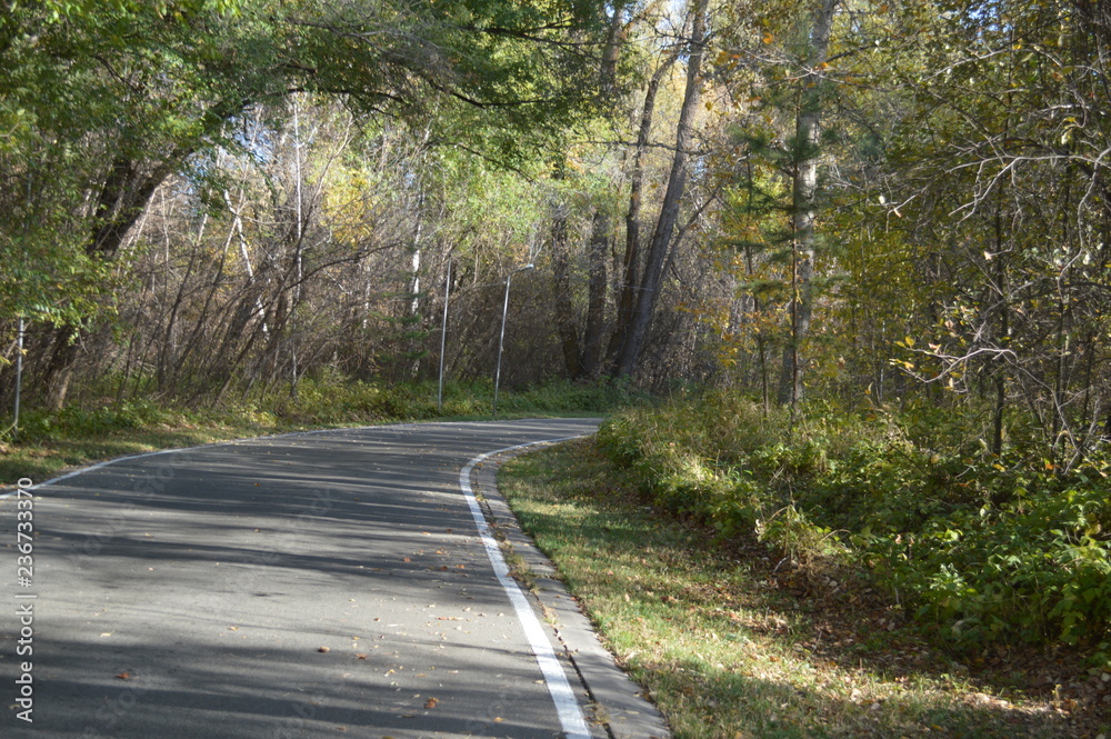 road in the forest