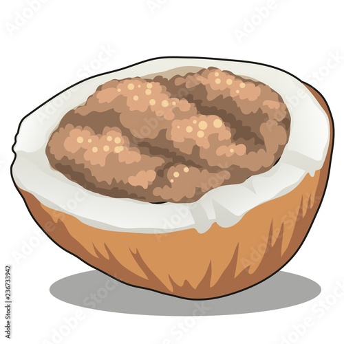Coconut products isolated on white background. Vector cartoon close-up illustration.