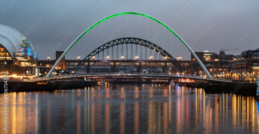 Naklejka premium The Millennium Bridge and the Tyne Bridge