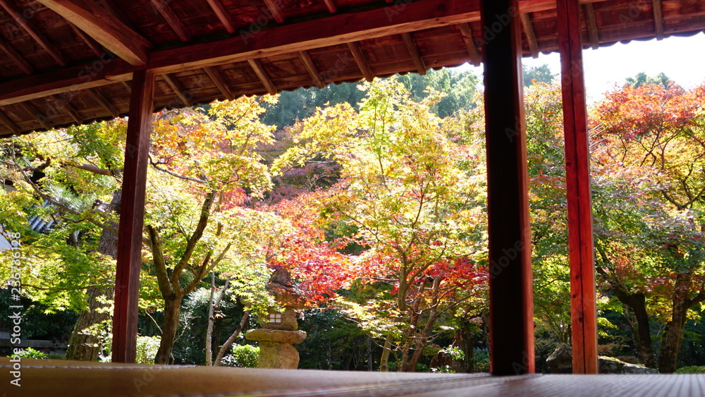 圓光寺の庭 圓光寺の庭