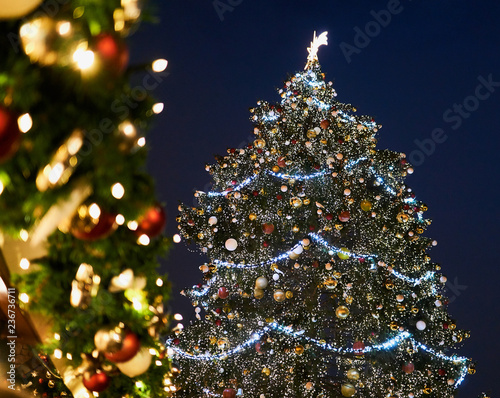 Christmas Tree and Lights