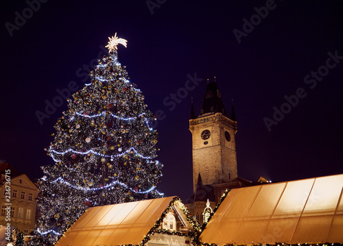 Christmas Tree and Lights