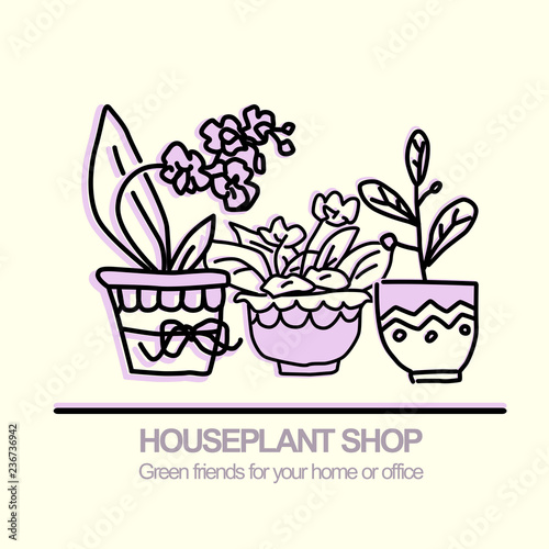 Cute pots with blloming housplants. Hand drawn vector illustration