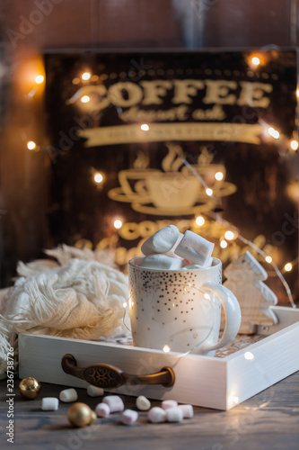 marshmallow with cocoa in Cup.Christmas. New year