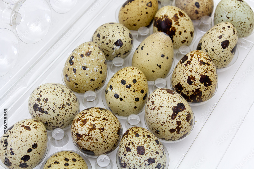 quail eggs on white background