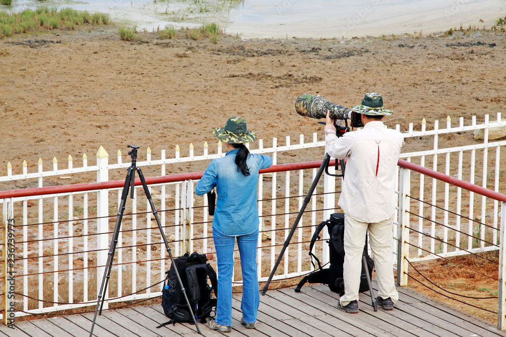 A man and a woman two photographers were photographing in a wetland park, china A man and a woman two photographers were photographing in a wetland park, china