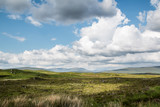 meadows in scotland