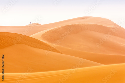 Dunes in Desert Sahara in Merzouga, Morocco. Beautiful lines of desert with sky in background © danmir12