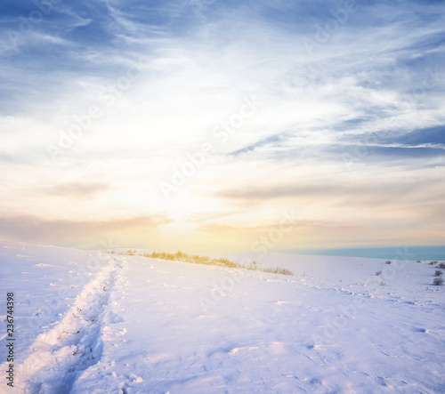 winter field in a snow at the sunset