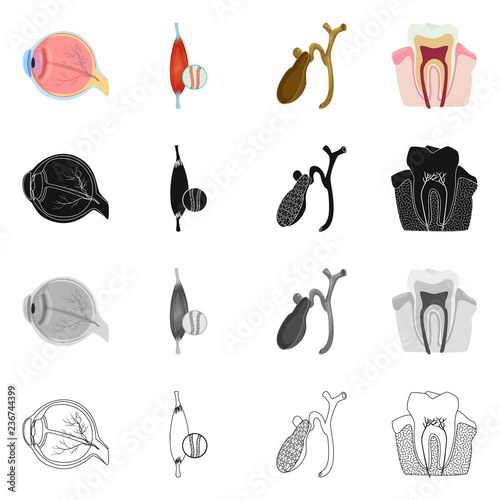 Vector design of body and human symbol. Set of body and medical stock symbol for web.