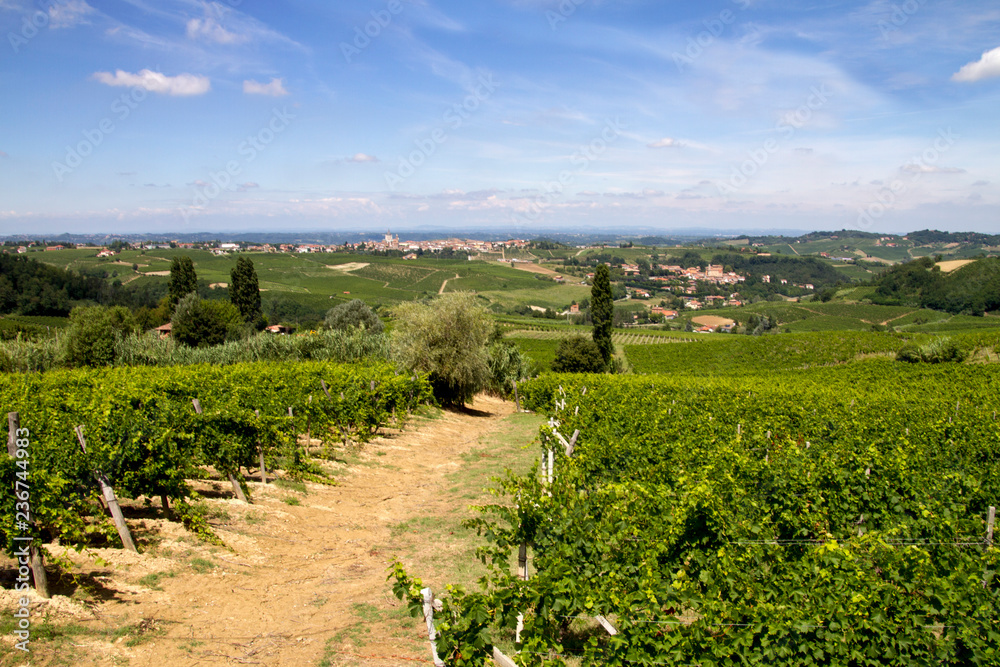 Panorami del Monferrato