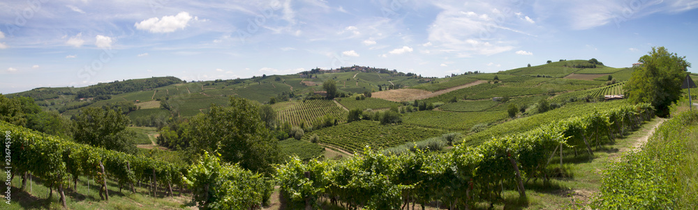 Panorami del Monferrato