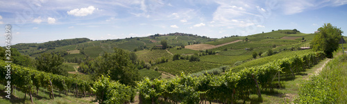 Panorami del Monferrato