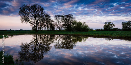 reflections of trees in a flooded field at sunrise in lincolnshire