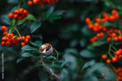 rings and berries