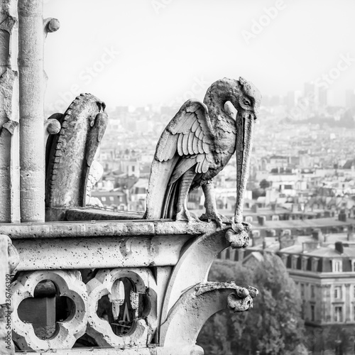 Photography Stone statue of a chimerical bird on the towers gallery of Notre-Dame de Paris cathedral overlooking the city vanishing in the mist in the distance