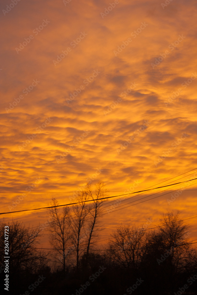 Obraz premium Beautiful and colorful sunset. Red color.