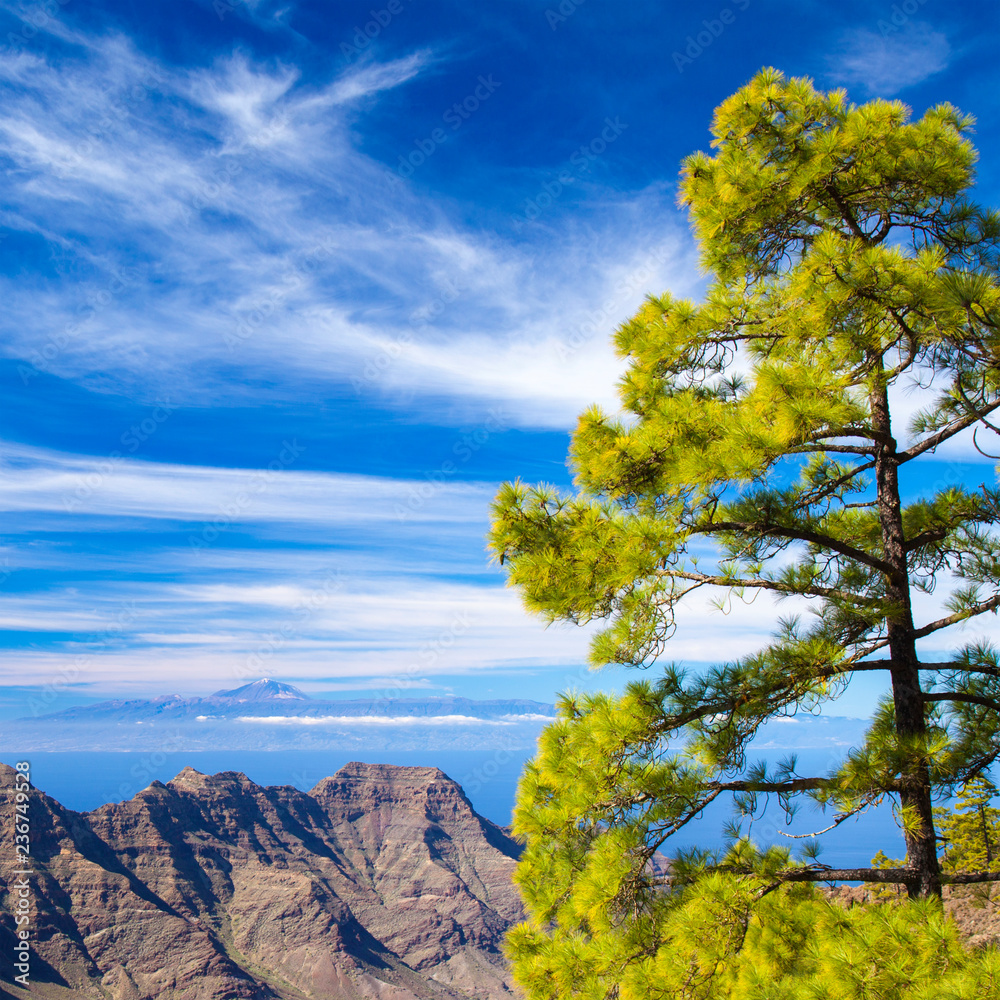 Obraz premium Gran Canaria, November 2018