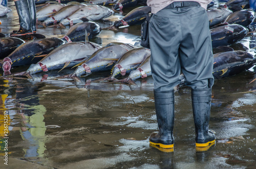 Man in rubber boots standing between fish on japanese fish market