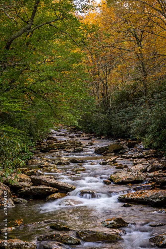 greatsmokymountains