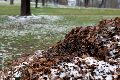 A pile of fallen faded dry autumn leaves under snow