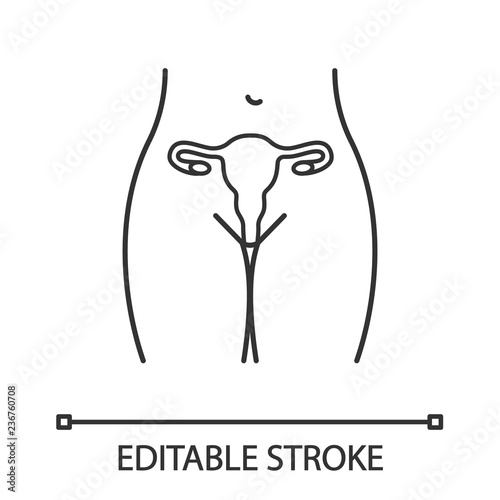 Female reproductive system linear icon