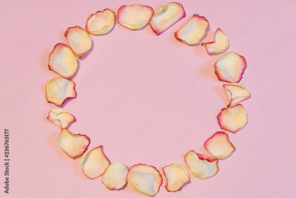 Obraz premium Frame of dried cream rose petals in circle shape on pink pastel