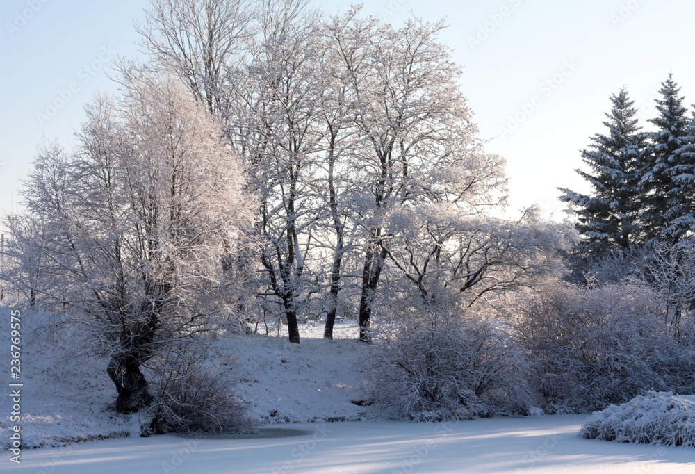 Winter background of snow and frost with free space for your decoration. Winter background of snow and frost with free space for your decoration.
